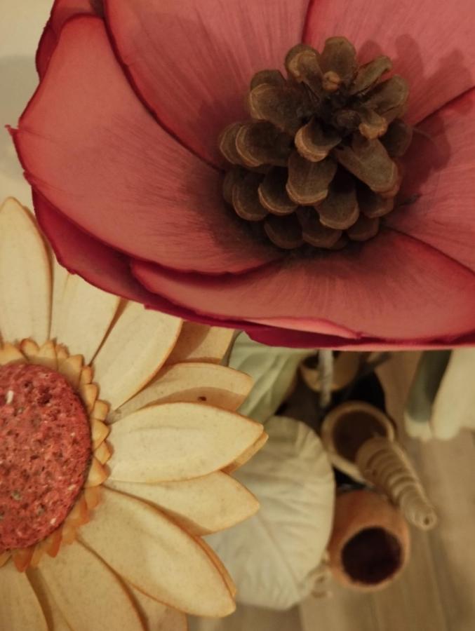 A casa di Esther Bologna Esterno foto
